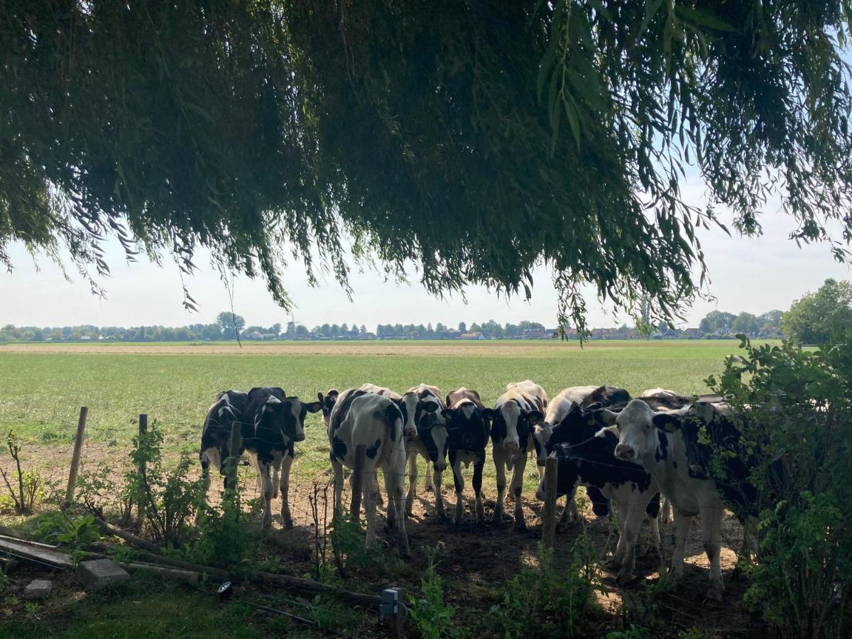 Vakantiehuis Het Uilennest Wijdenes Bagian luar foto