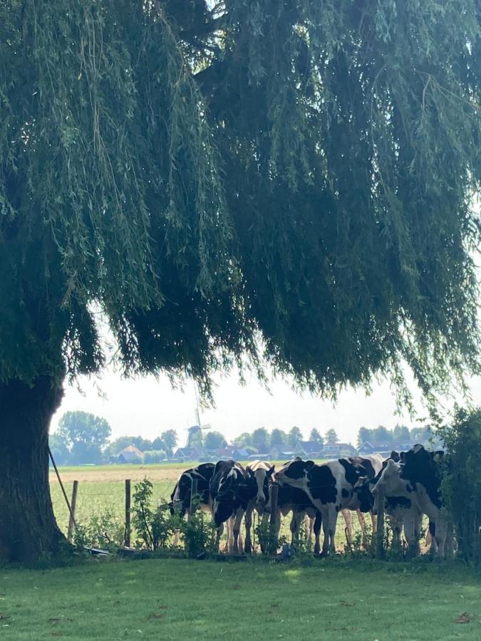 Vakantiehuis Het Uilennest Wijdenes Bagian luar foto