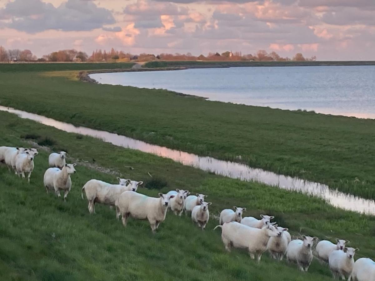 Vakantiehuis Het Uilennest Wijdenes Bagian luar foto