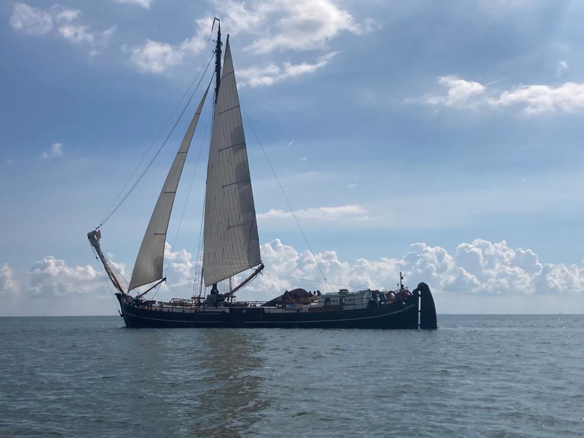 Vakantiehuis Het Uilennest Wijdenes Bagian luar foto