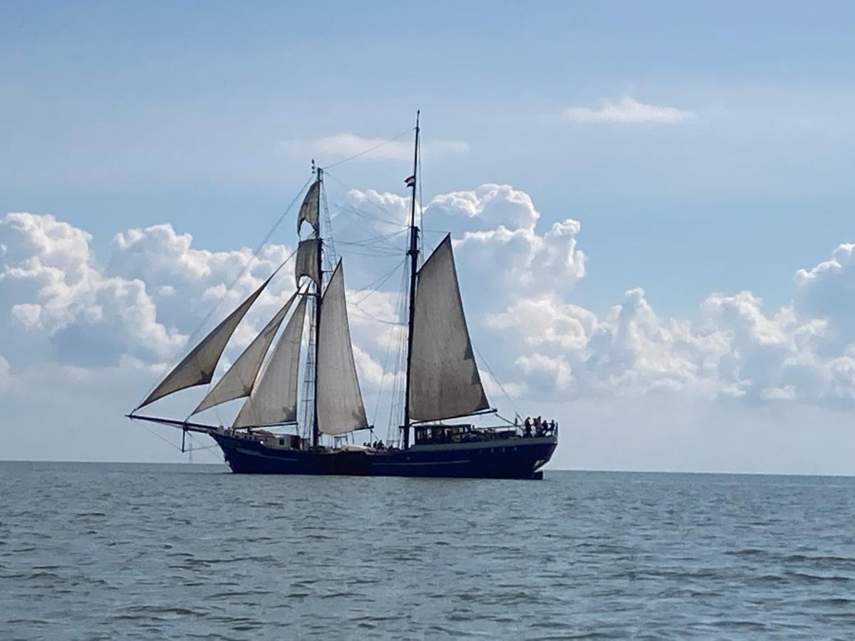 Vakantiehuis Het Uilennest Wijdenes Bagian luar foto