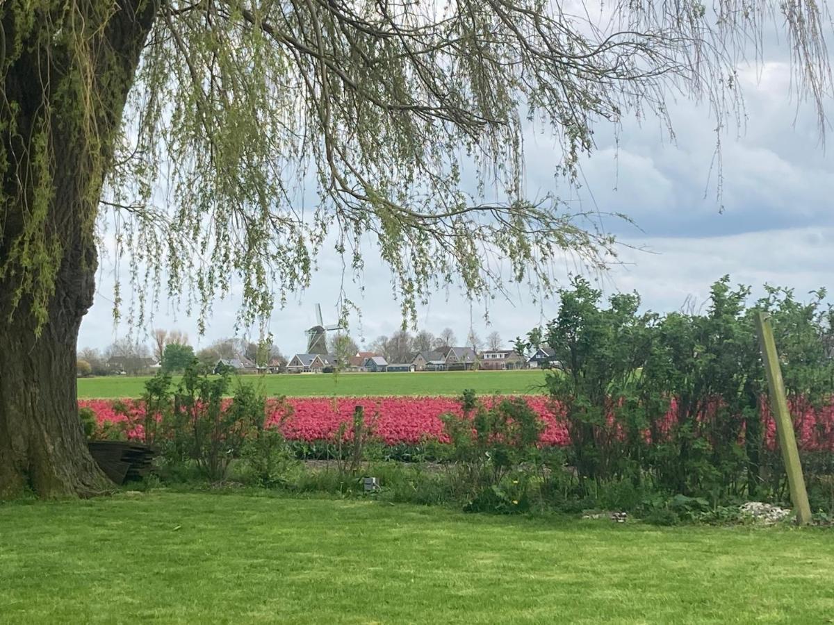 Vakantiehuis Het Uilennest Wijdenes Bagian luar foto