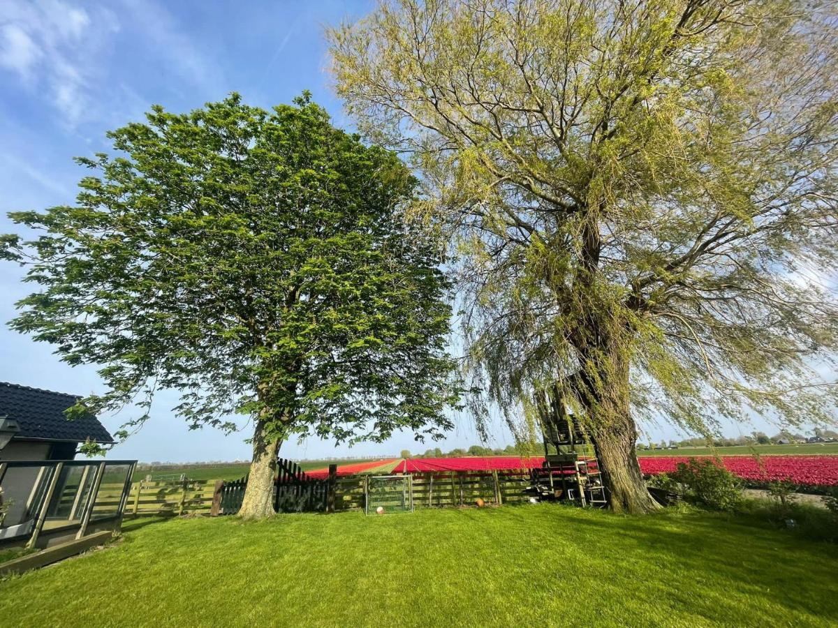 Vakantiehuis Het Uilennest Wijdenes Bagian luar foto