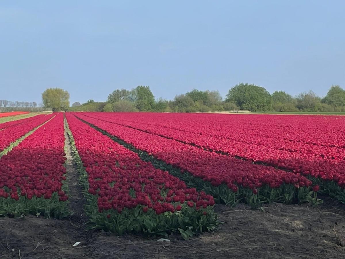 Vakantiehuis Het Uilennest Wijdenes Bagian luar foto